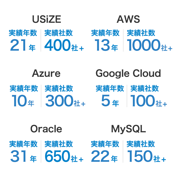 中堅/大企業のお客様の実績